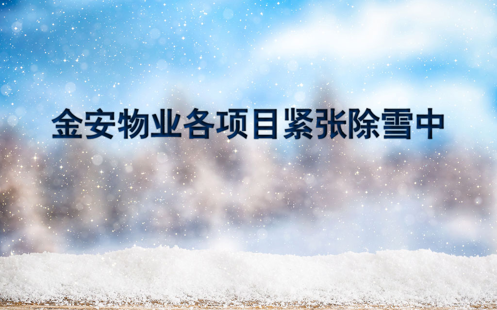 金安物業(yè)各項(xiàng)目緊張除雪中！
