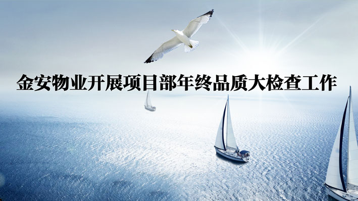 金安物業(yè)開展項(xiàng)目部年終品質(zhì)大檢查工作